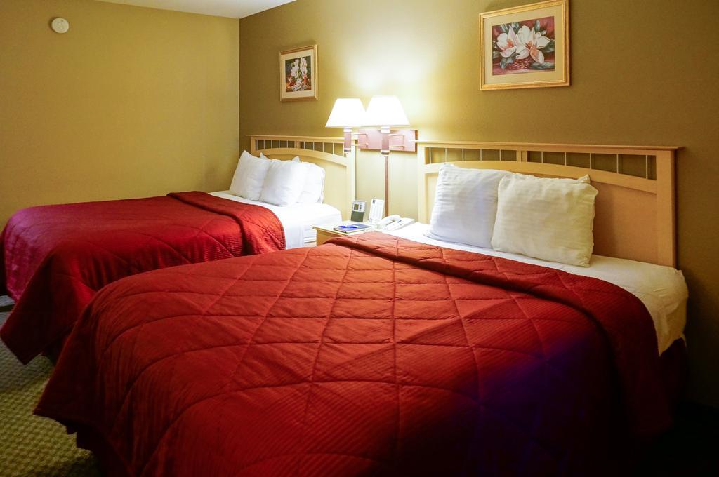 Hotel Lamplighter &